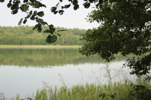 img_1064