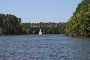 IMG_7079
